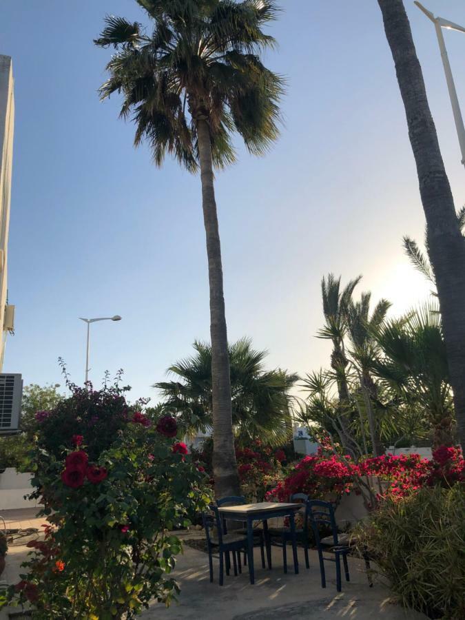 Andreotis Villas Protaras Eksteriør billede